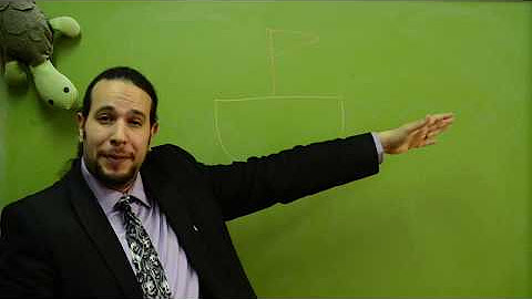 התמונה של ארז שיינר